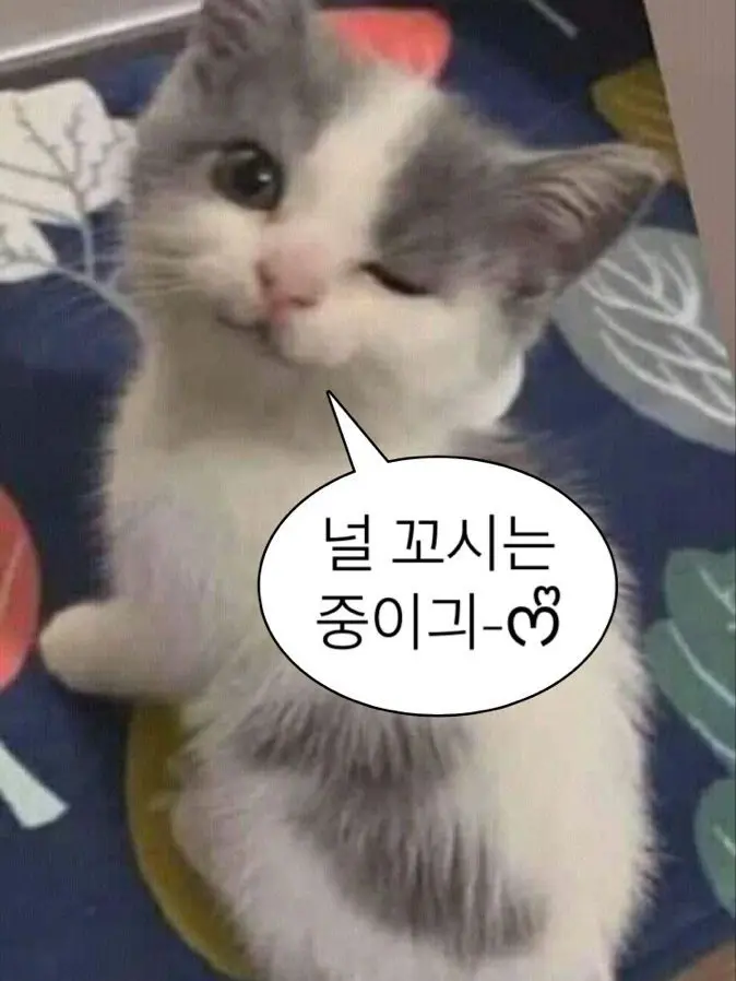 SleazyNylon9239의 江戸時代