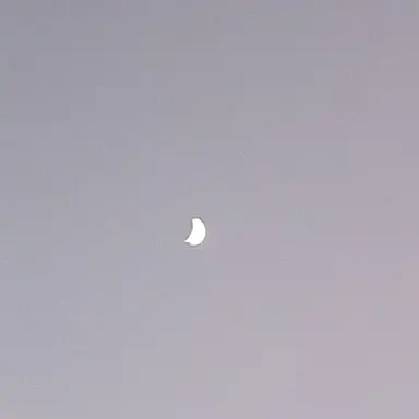 Profile image of 박덕개