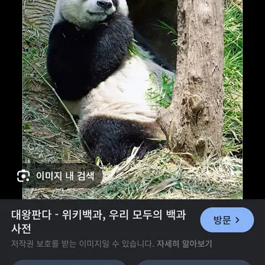 Profile image of 홍챠