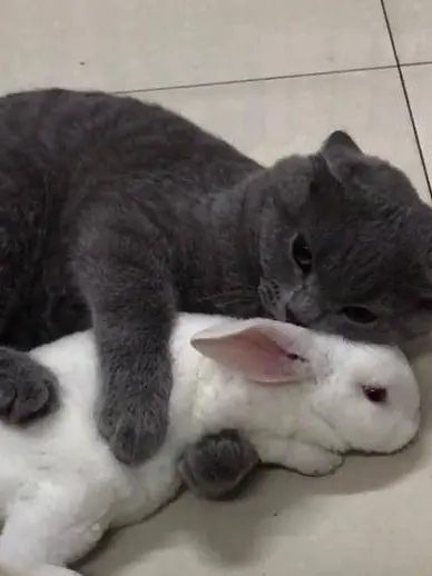 HOLY_DAY_1215의 0107🐇