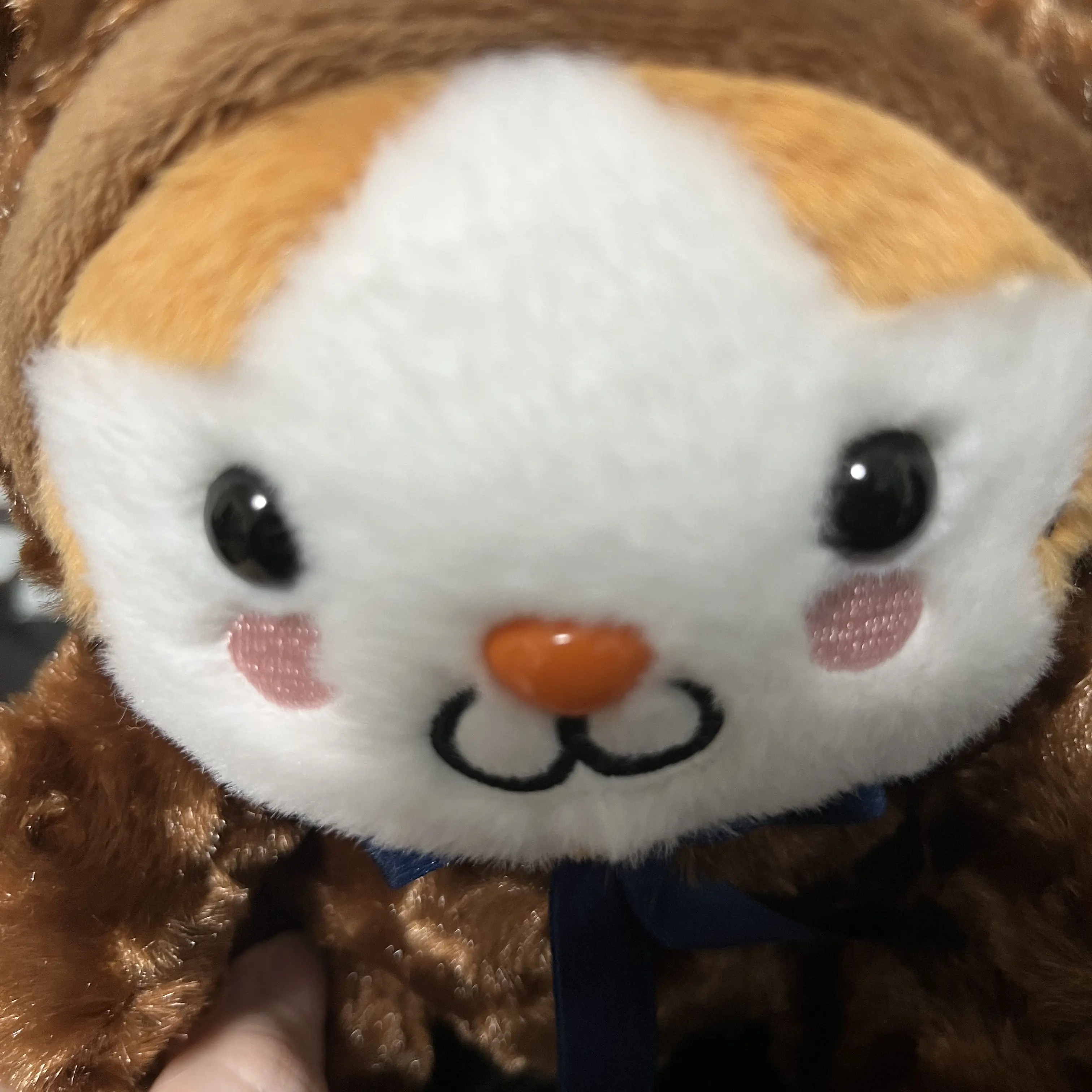 1234123412341234의 a