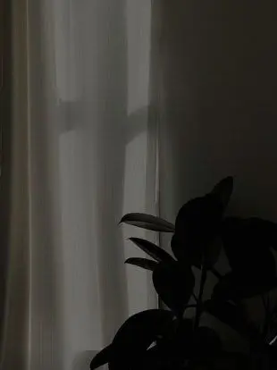 Early.morning의 ㅎㅏㄴㅎㅣㅎㅣㅁ/ㅅㅎㅇ🐀 시점