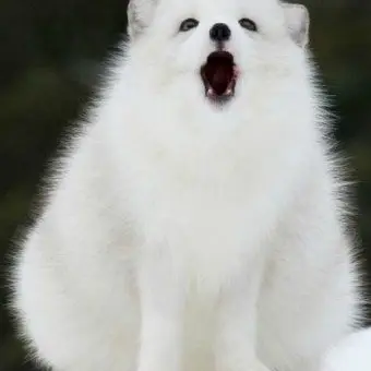 Profile image of ひるか