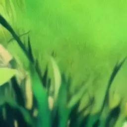 DBbb의 1