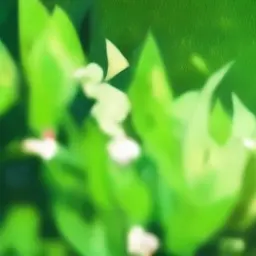 DBbb의 1