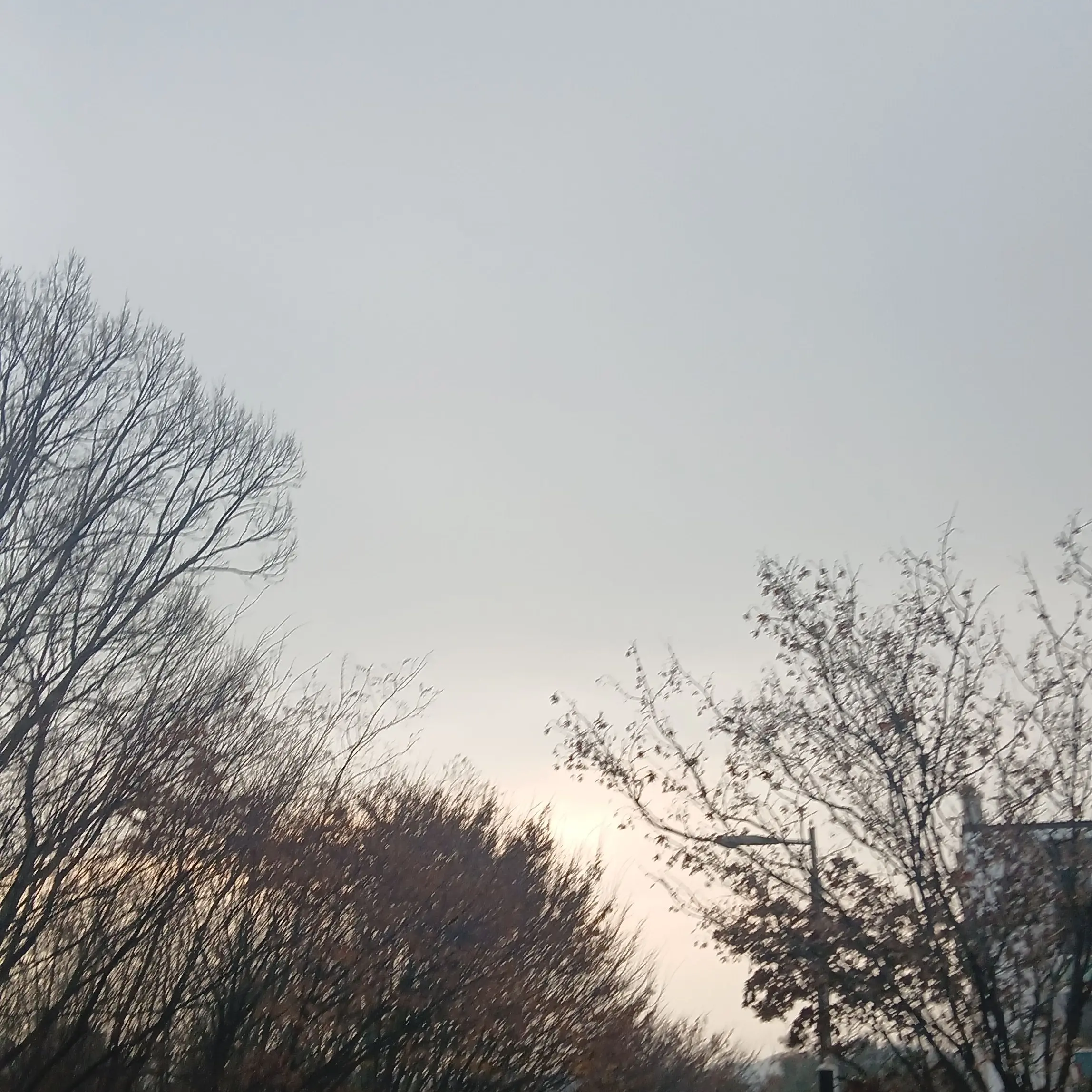 seoyeon0511의 요괴 대저택