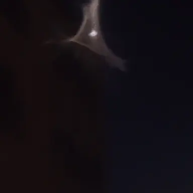 Profile image of はっとり