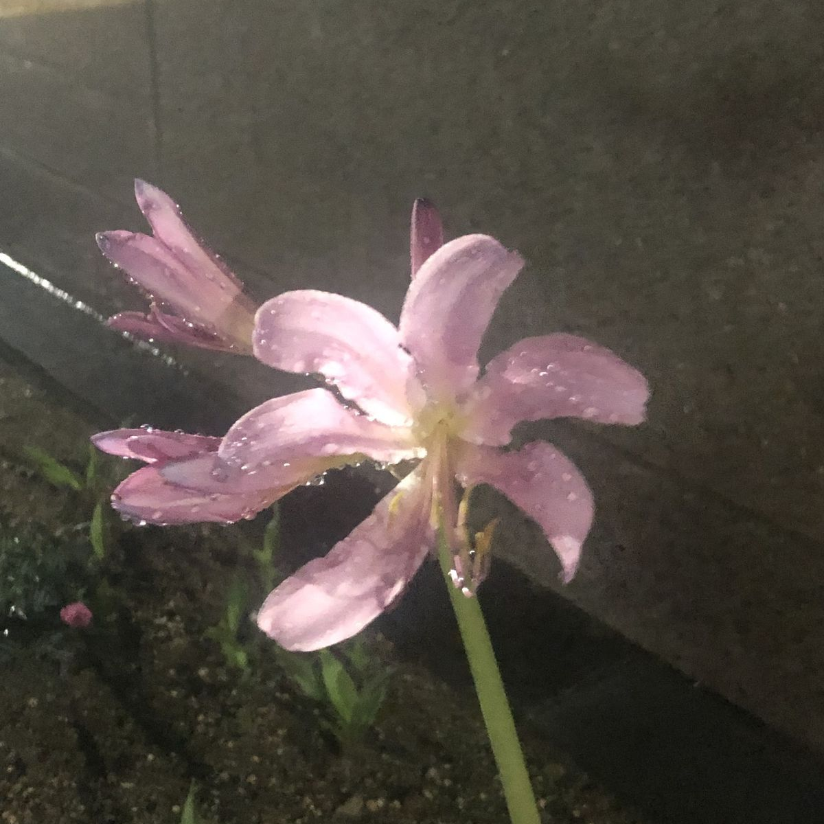 유지민 대표 이미지