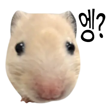 Profile image of 미티