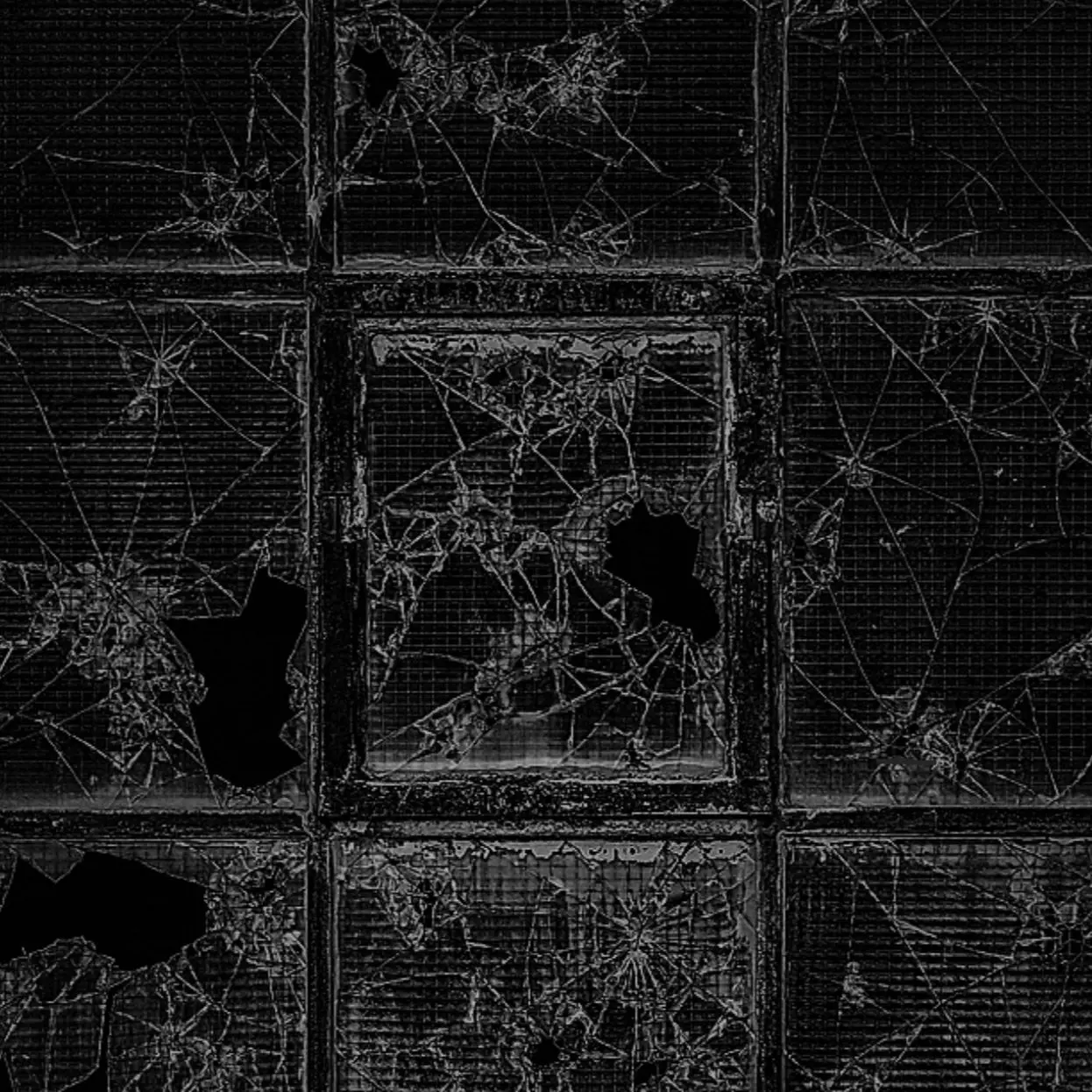 bubblebee의 Emnellish