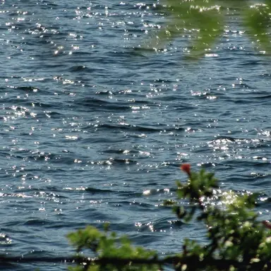 Profile image of 행크