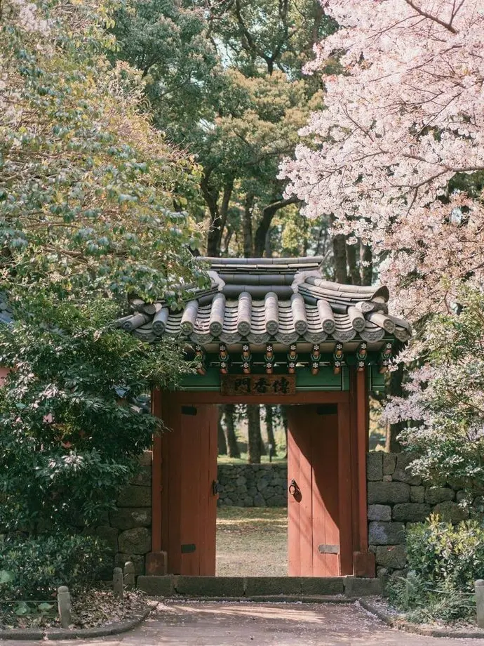 paradise_0000의 낙원