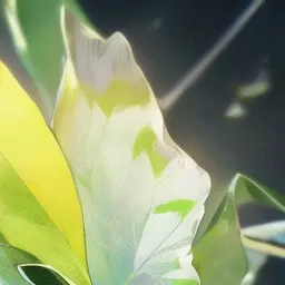 Profile image of 운터