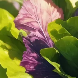 Profile image of 적운터