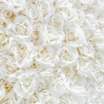 Profile image of 舞香