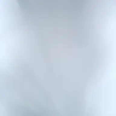 Profile image of 타비