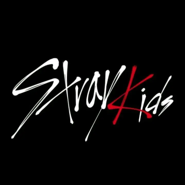 FitBus9663의 Stray Kids
