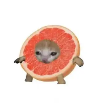Profile image of 여우1년