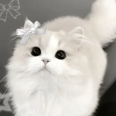 Profile image of 마연서