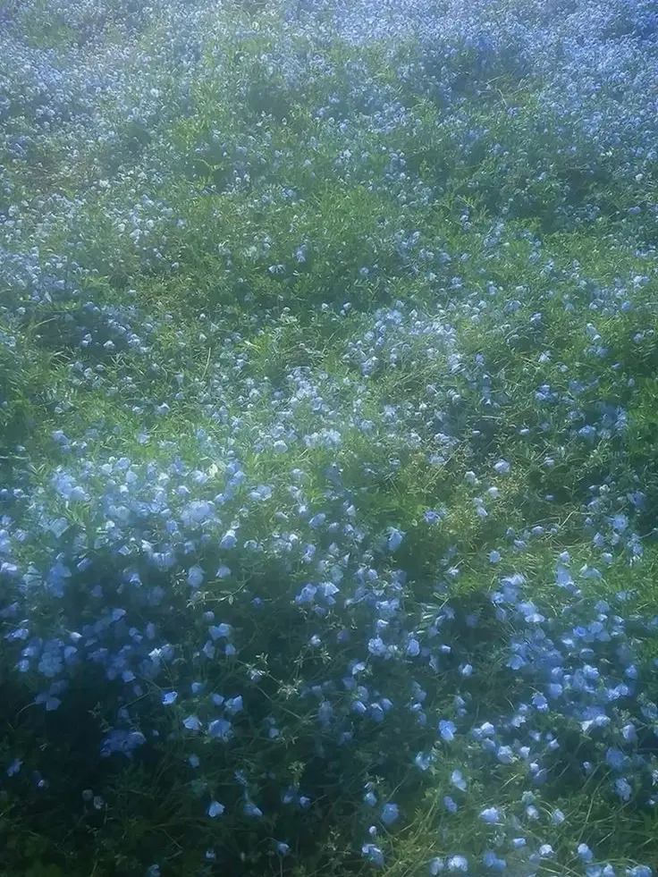 Stydb의 이루어질 수 없을 거 같은 사랑.