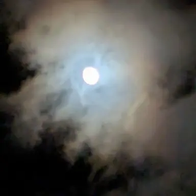 Profile image of 日帝