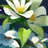植草裕太