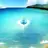 浦島虎徹