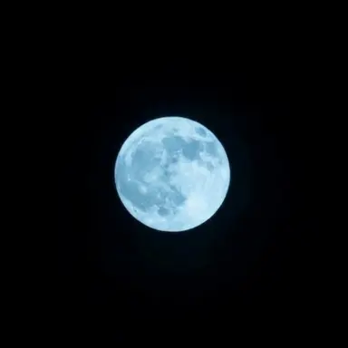 Profile image of 잠뜰