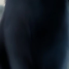 ハニ