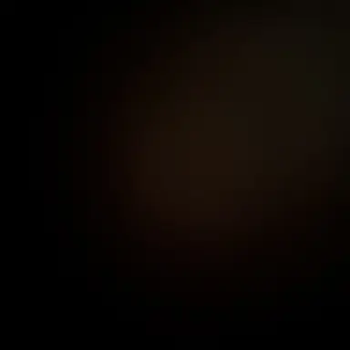 Profile image of 밴더스내치