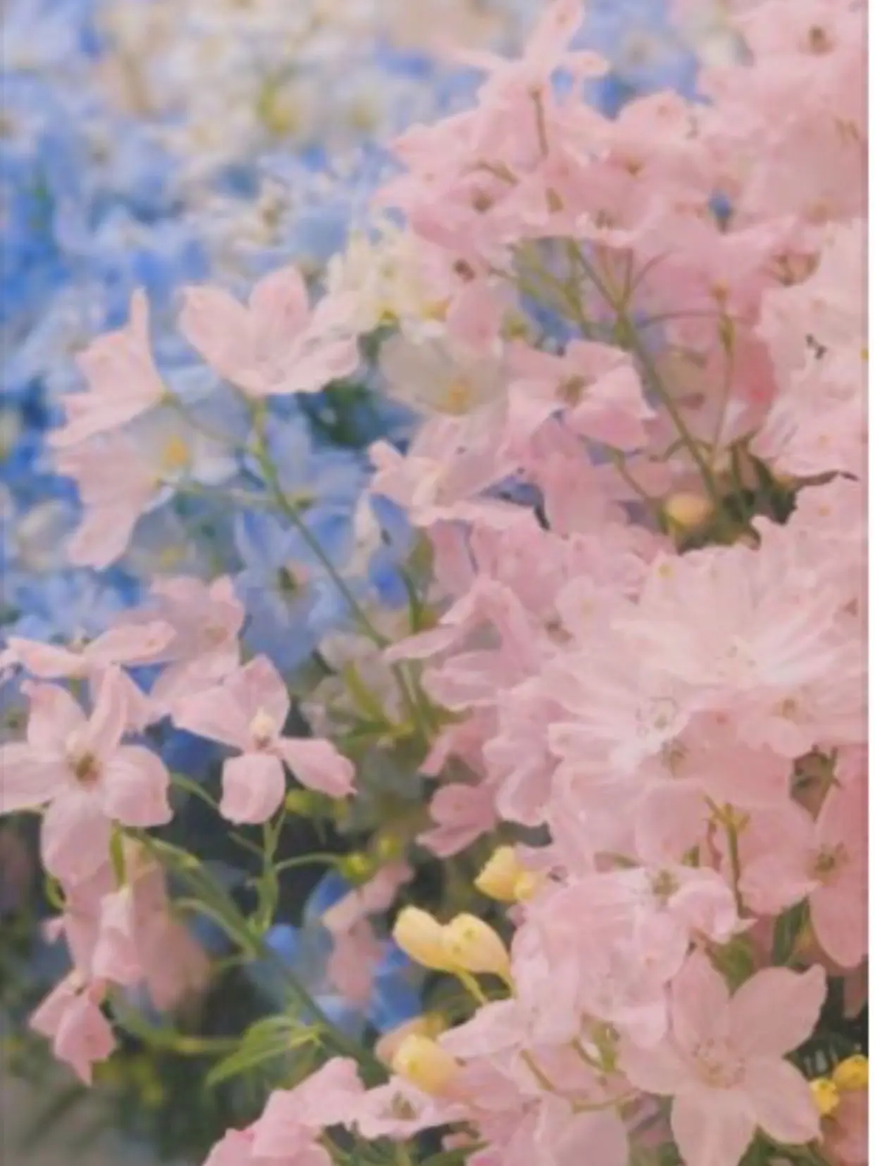 PaleBark3801의 不思議の国の{{user}}