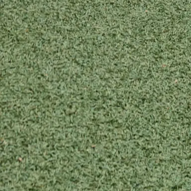 Profile image of 로베