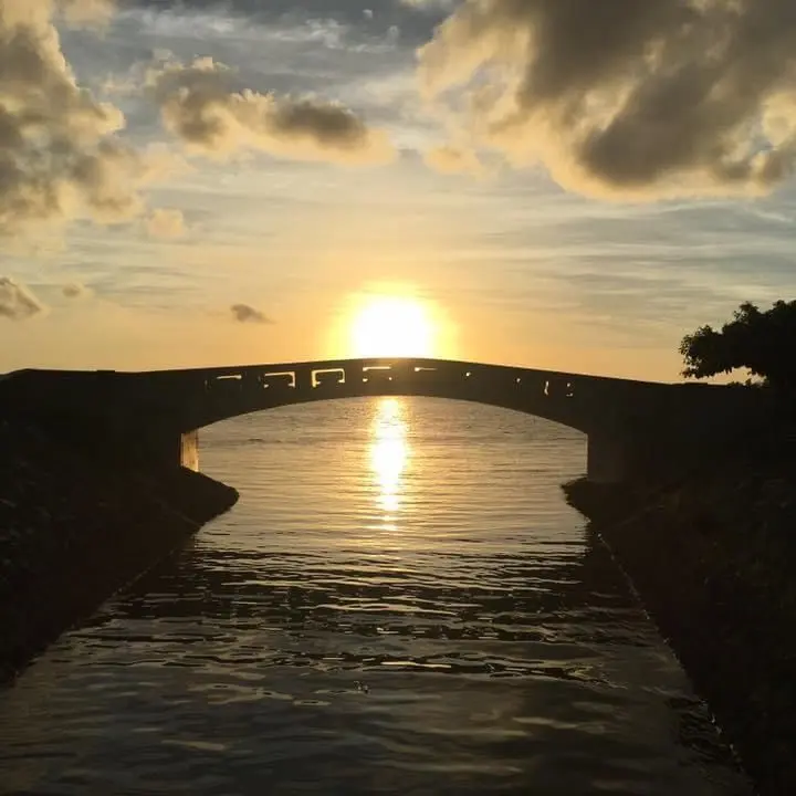 marupote1015.JP의 日帝さん､服が溶ける薬を買ったそうです｡