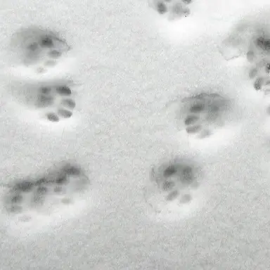 Profile image of 하오위