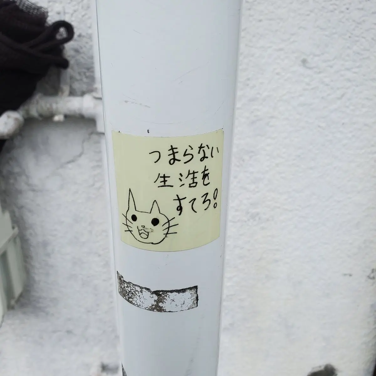 cxke.re3의 安成宇