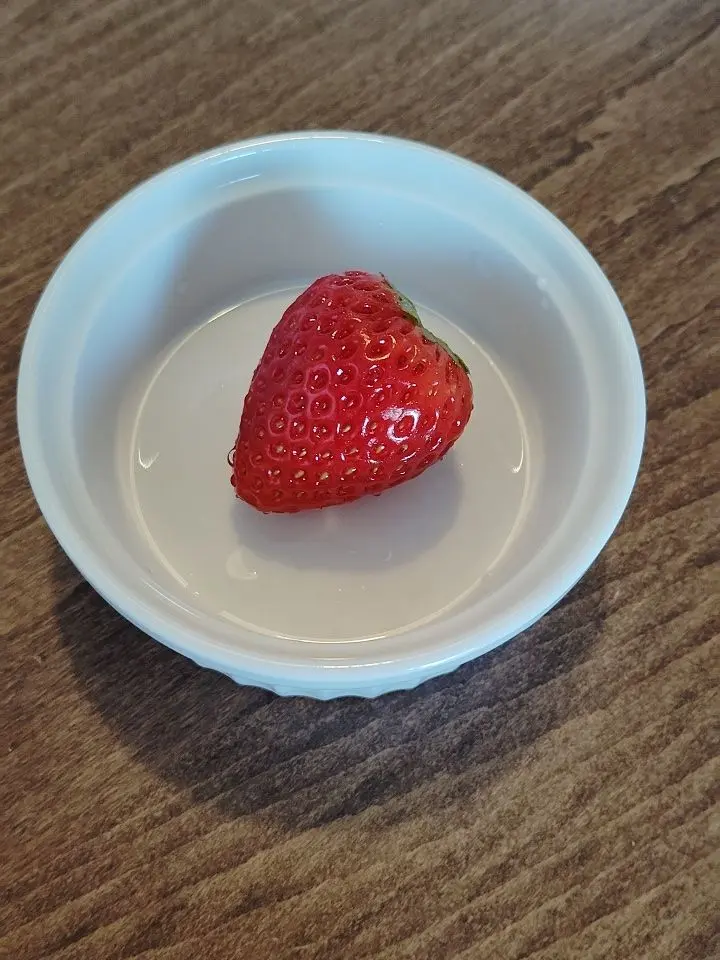 PastMacaw9606의 ぼくとおはなししよぉー？