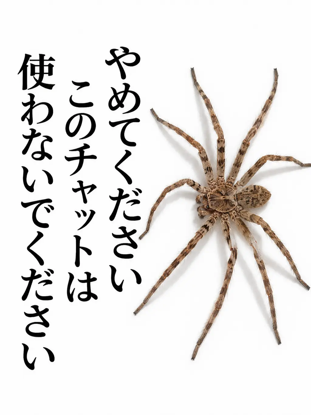 Ptrue114514의 ベリティ