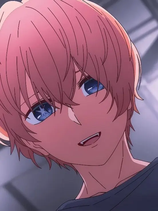 JerkyLady2497의 星野アクア