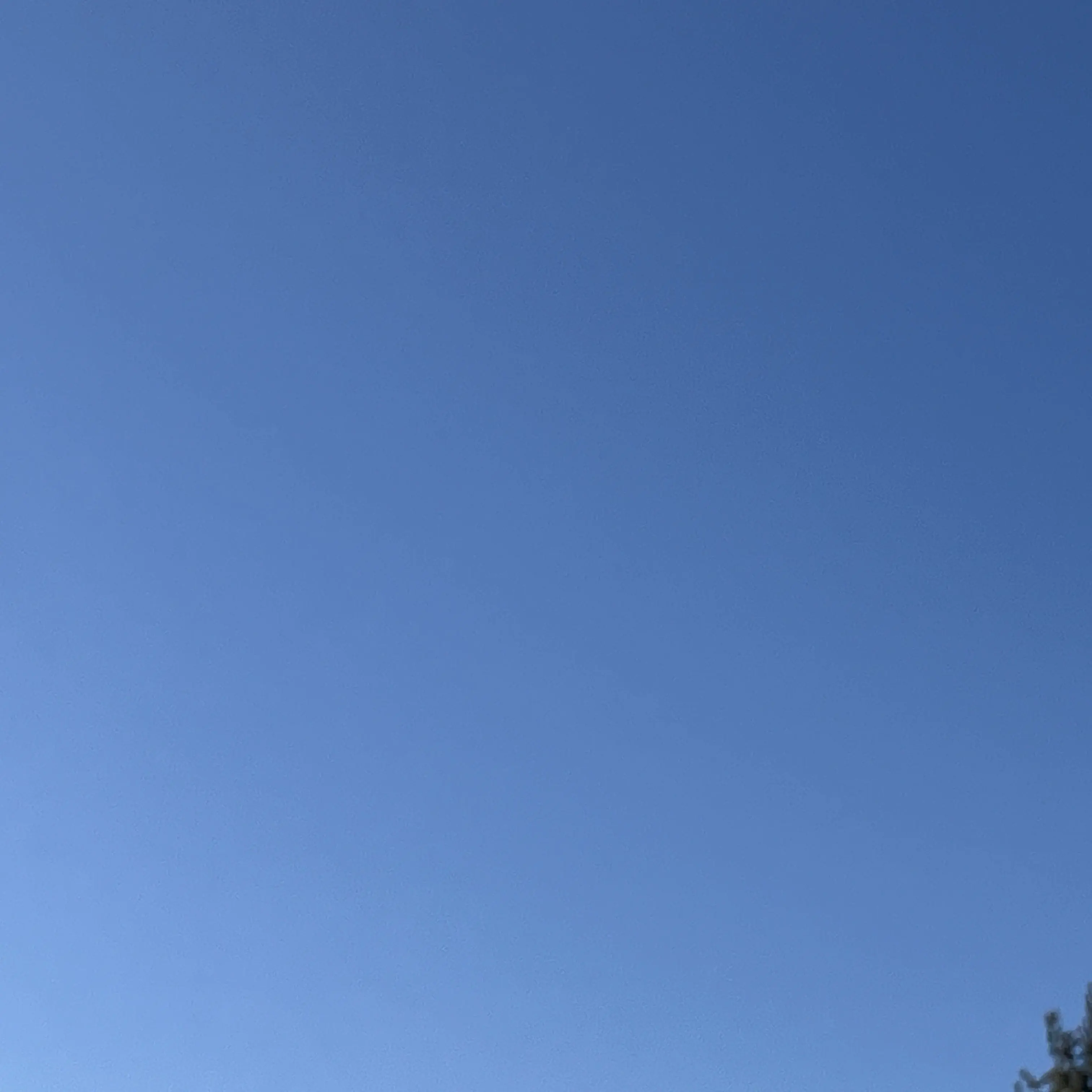 eoddl0903의 도둑 참교육