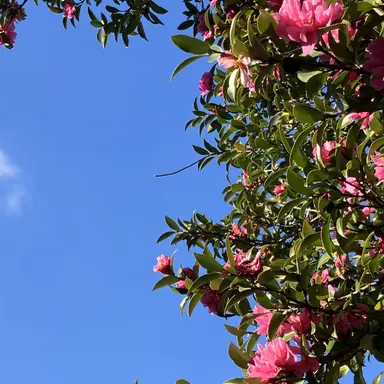 Profile image of 改