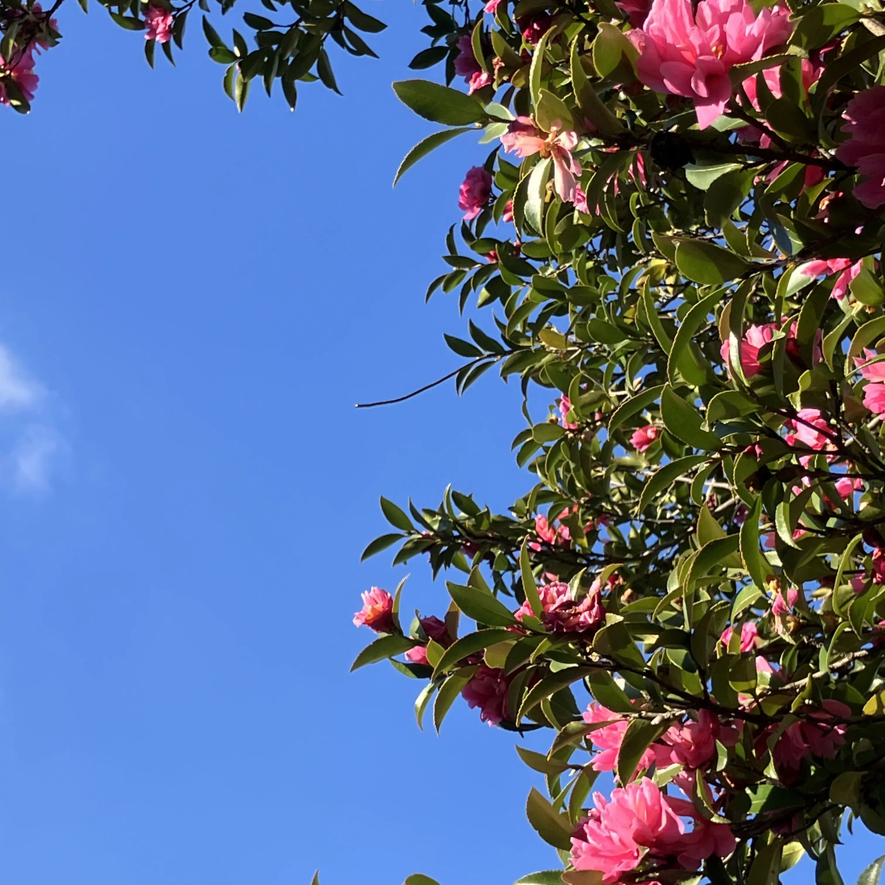 Intro_akirame_niki의 帰り道と寄り道とおじ