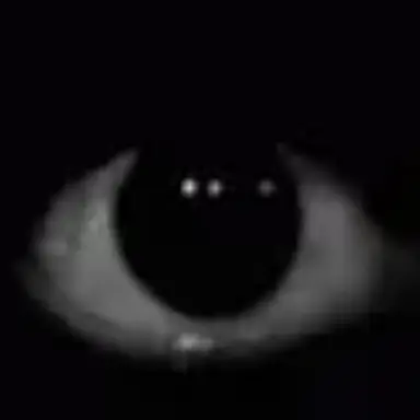 Profile image of -eyeballs-