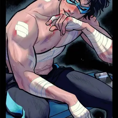Profile image of Nightwing