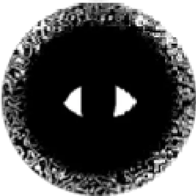Profile image of 神