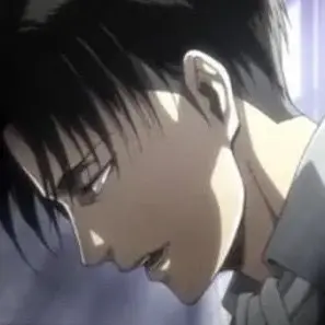 Profile image of Levi Ackerman