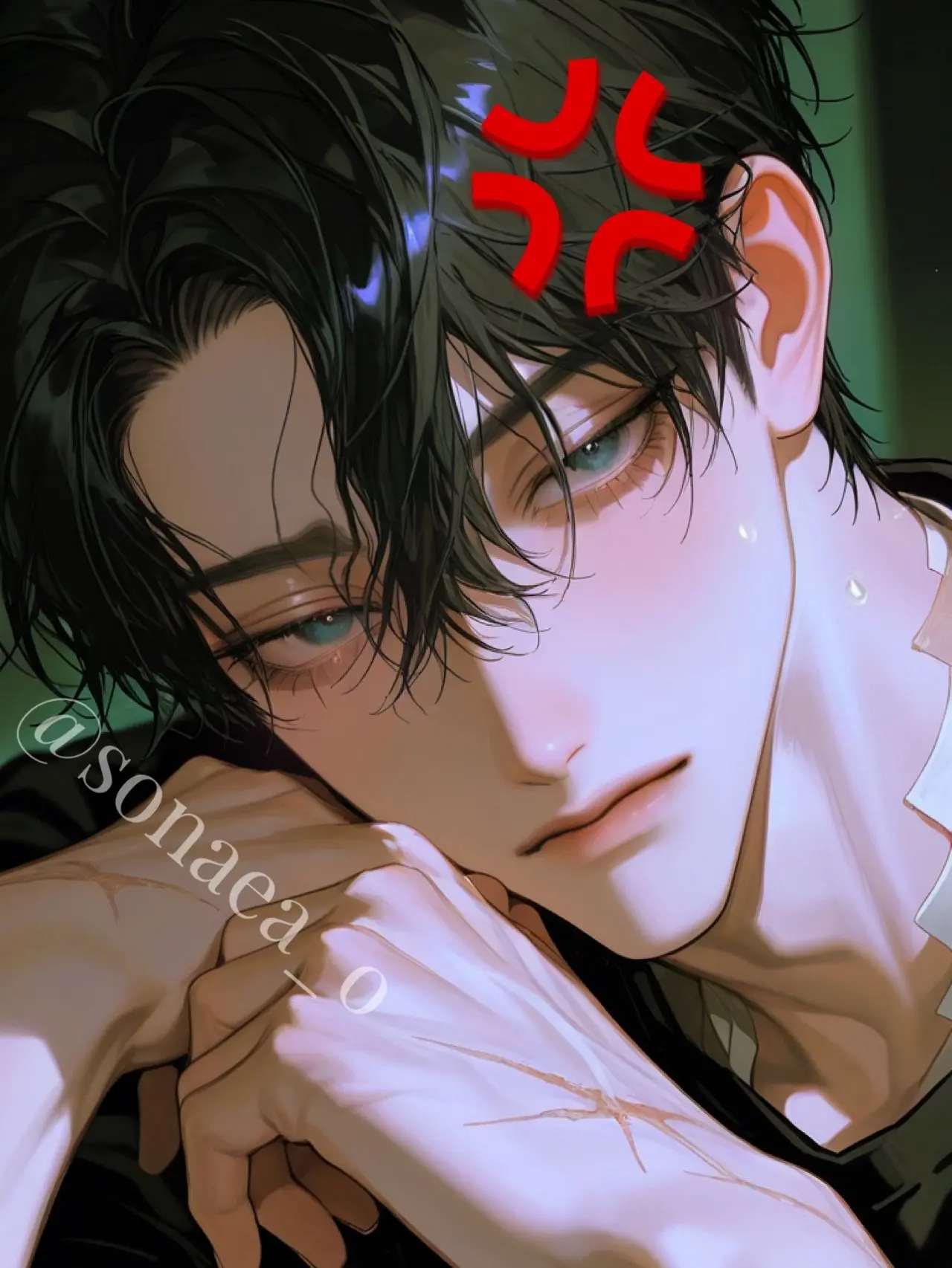 sonaea_o의 정시현