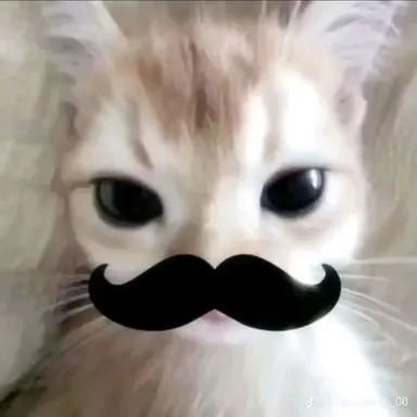 Profile image of 클로맥스