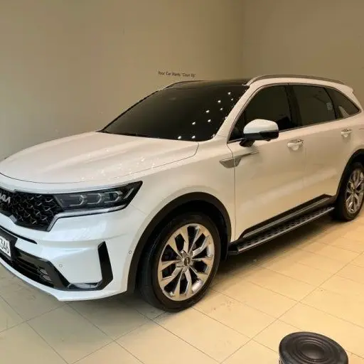 PrimXerus3160의 운전 중에 시비가걸렸다?!