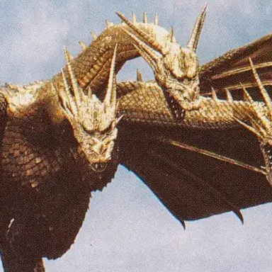 Profile image of 기도라