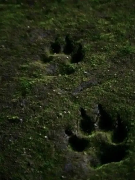 BossyTiger3504의 송혁찬 [BL]